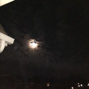 Meet your Posher, Lucy